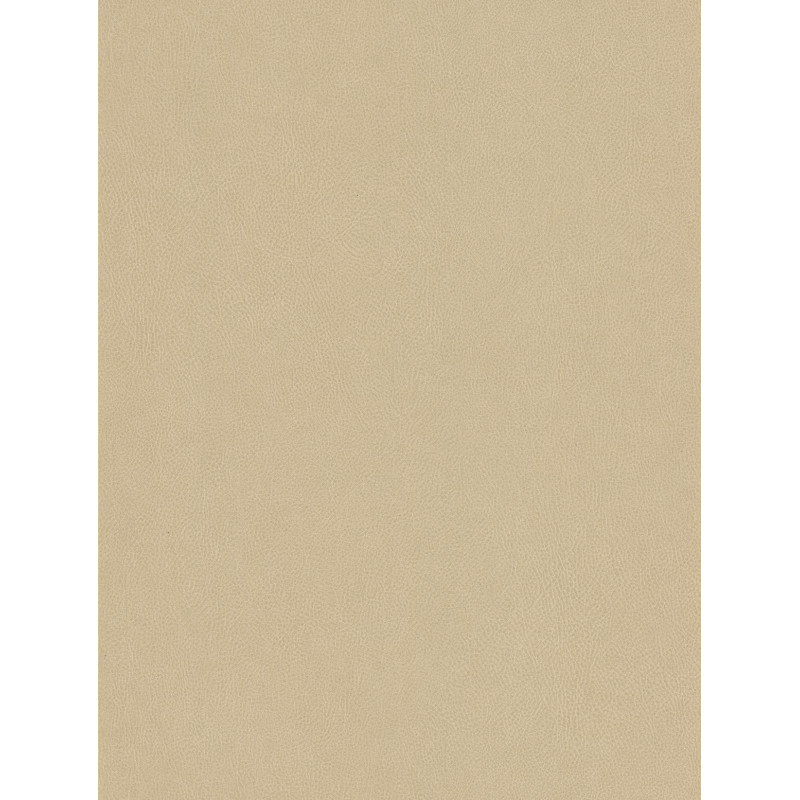 NE42  (G)