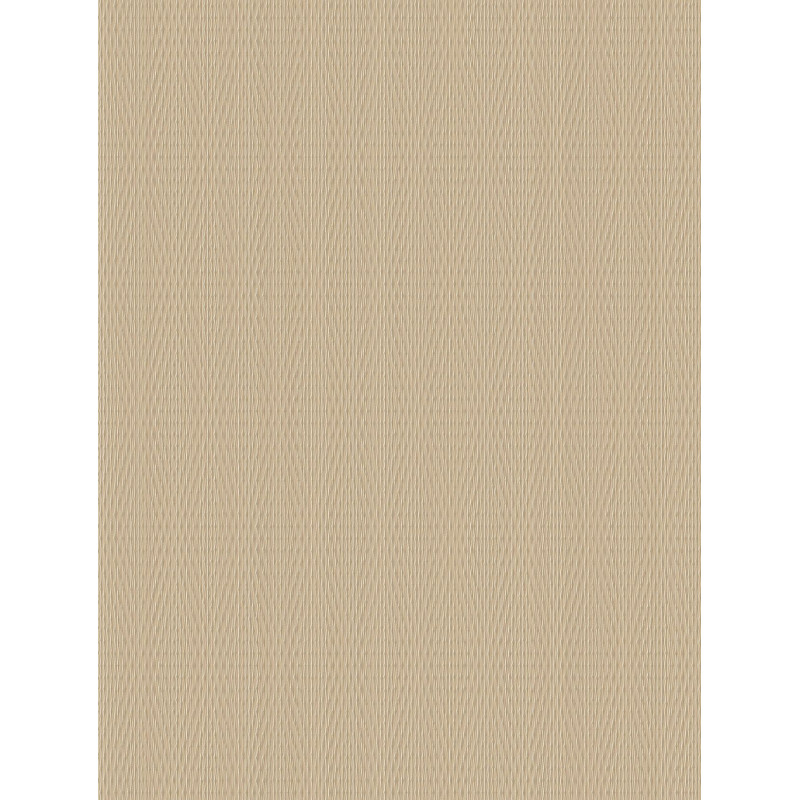 NG20  (G)