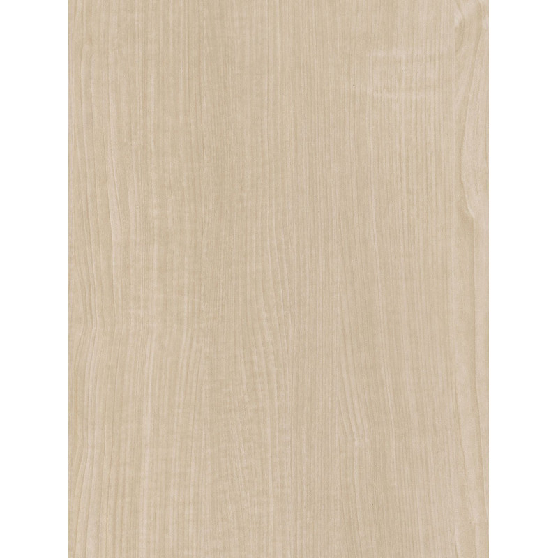 CT13  (O)