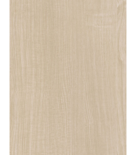 CT13  (O)