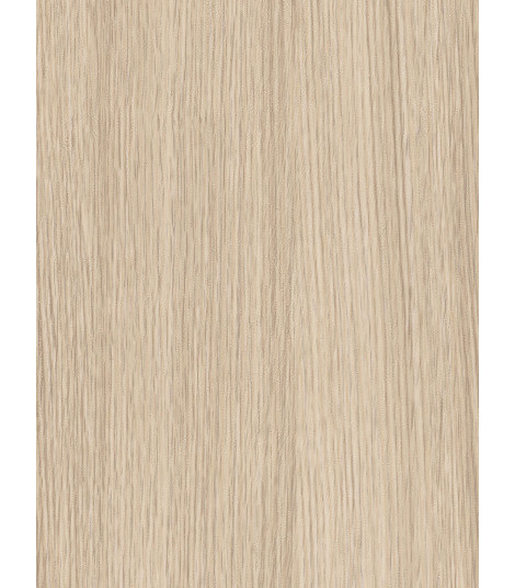 CT14  (O)