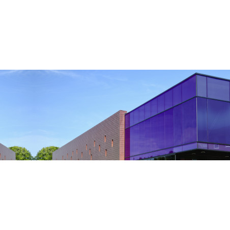 Purple C