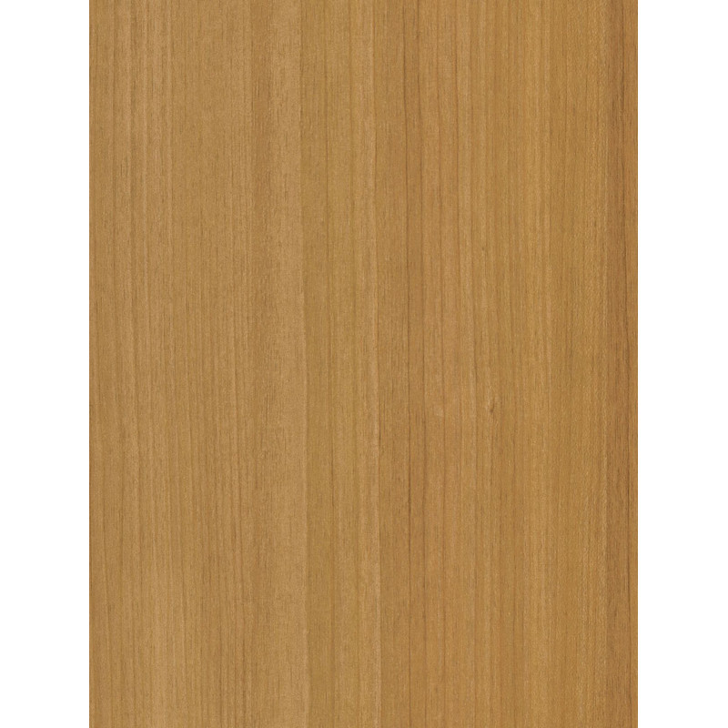 CT22  (O)