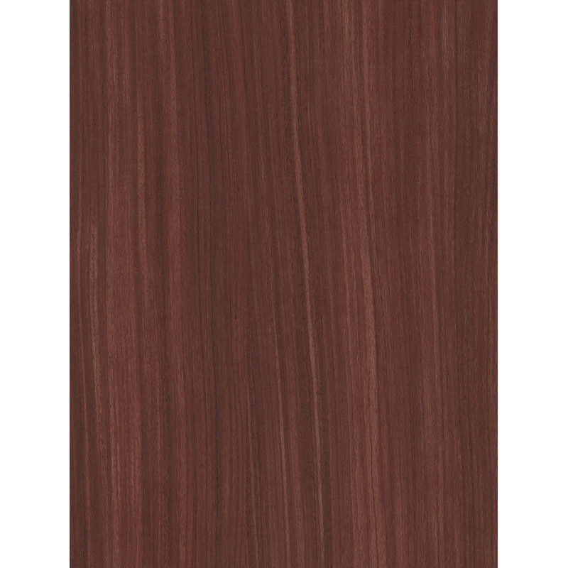 CT26  (O)