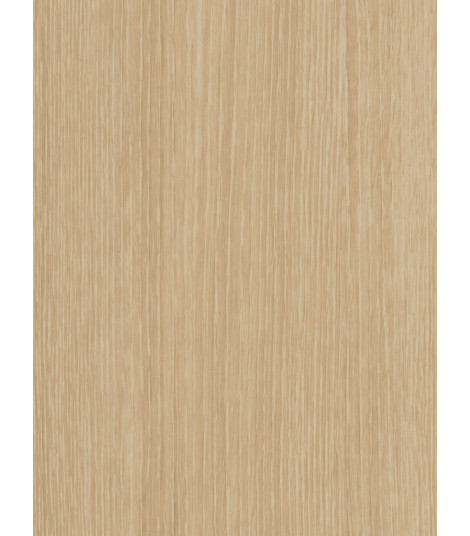 CT33  (O)