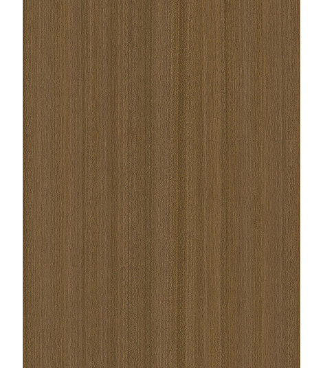 CT56  (O)