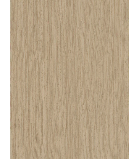 CoverStyl' folie CT62