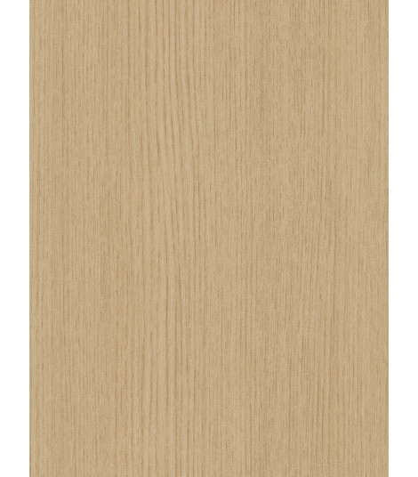 CT96  (O)
