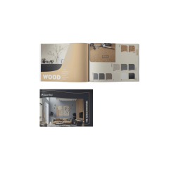 Success Portfolio Brochure