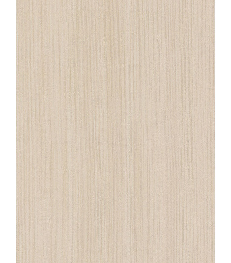CT102  (O)
