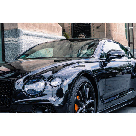 Protector Gloss - PPF