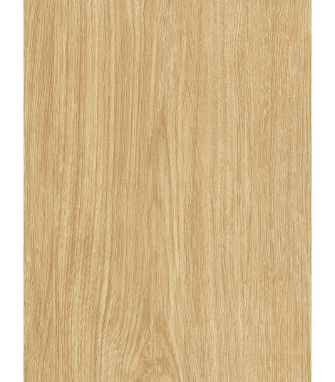NF40  (G)