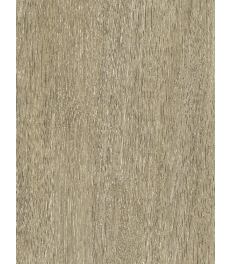 NF44  (G)