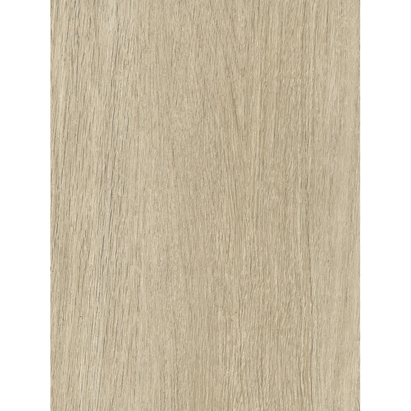 NF62  (O)