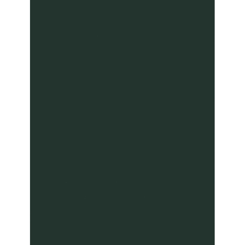 NF13 (G)