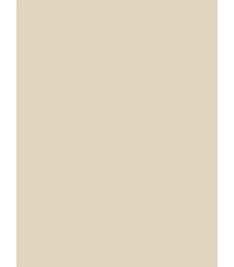 NF16 (O)