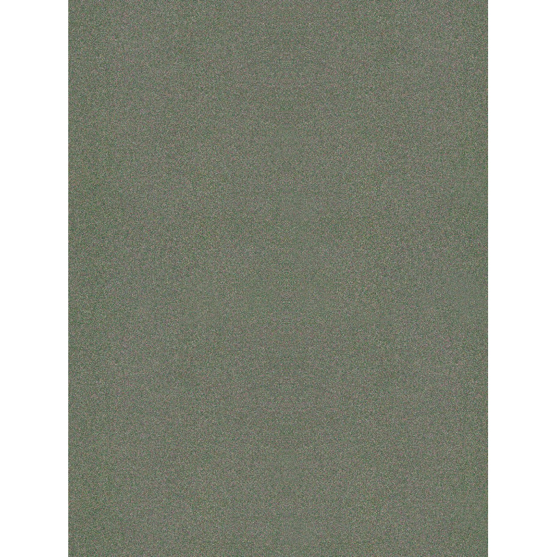 R14  (G)
