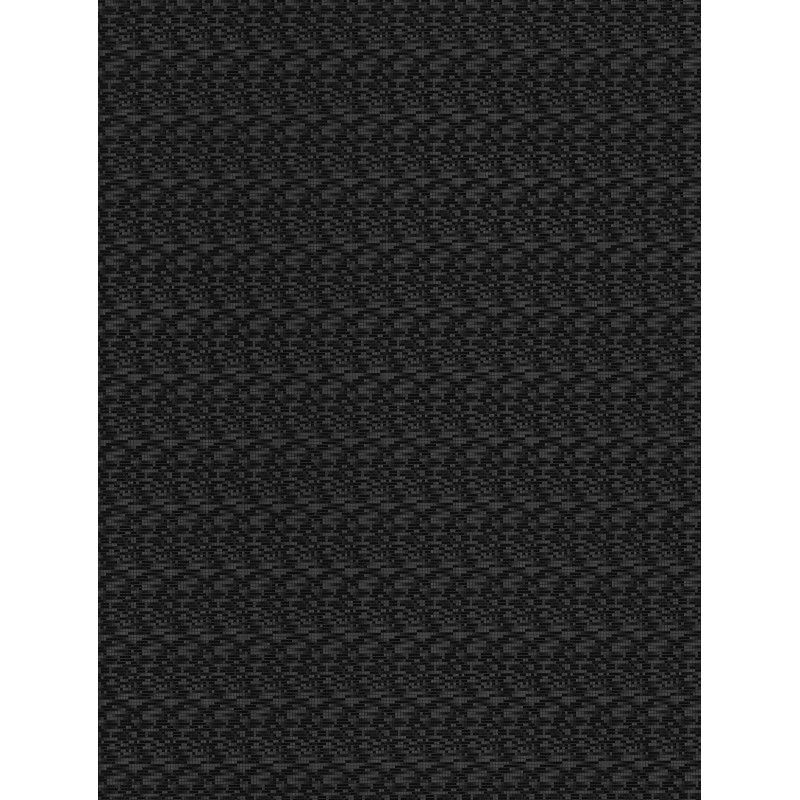 Z2  (G)